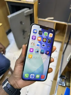 Apple iPhone 12 Pro Max 256 GB Gray