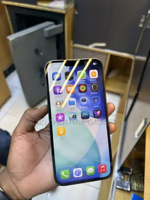 Apple iPhone 12 Pro Max 256 GB Gray