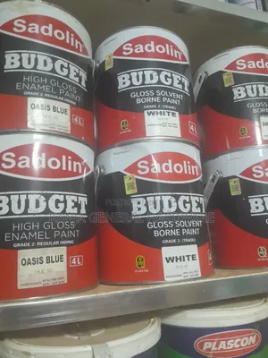 Budget Gloss Paint 4liters