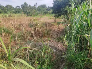 1/2 Acre for Sale