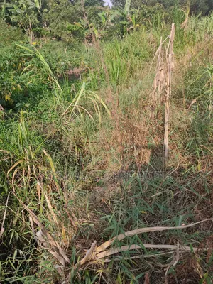 1/2 Acre for Sale