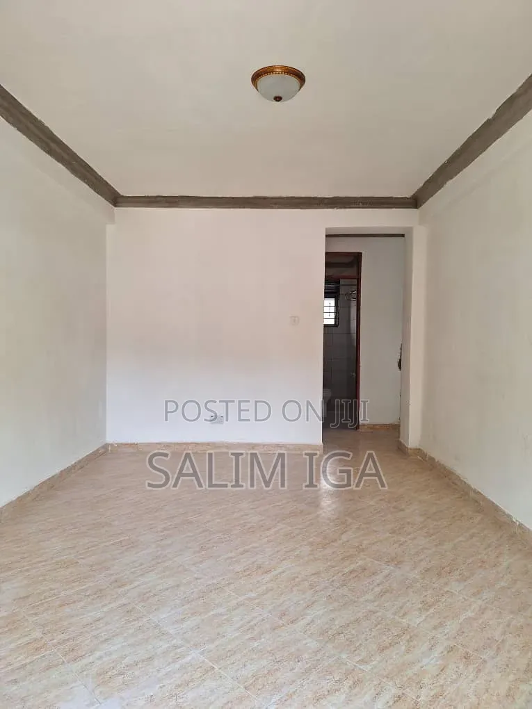 2bdrm Block of Flats in Kololo Property, Central Division for rent