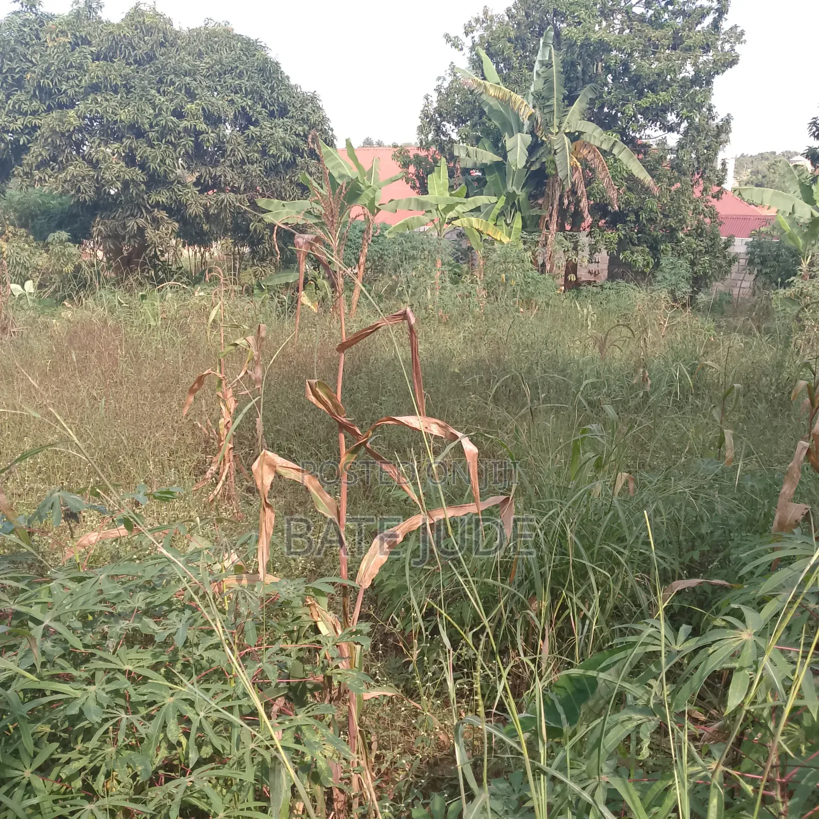 Plot of Land With Freehold Title for Sale in Seguku