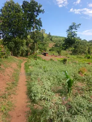 Estate Plot for Sale – Hoima Road