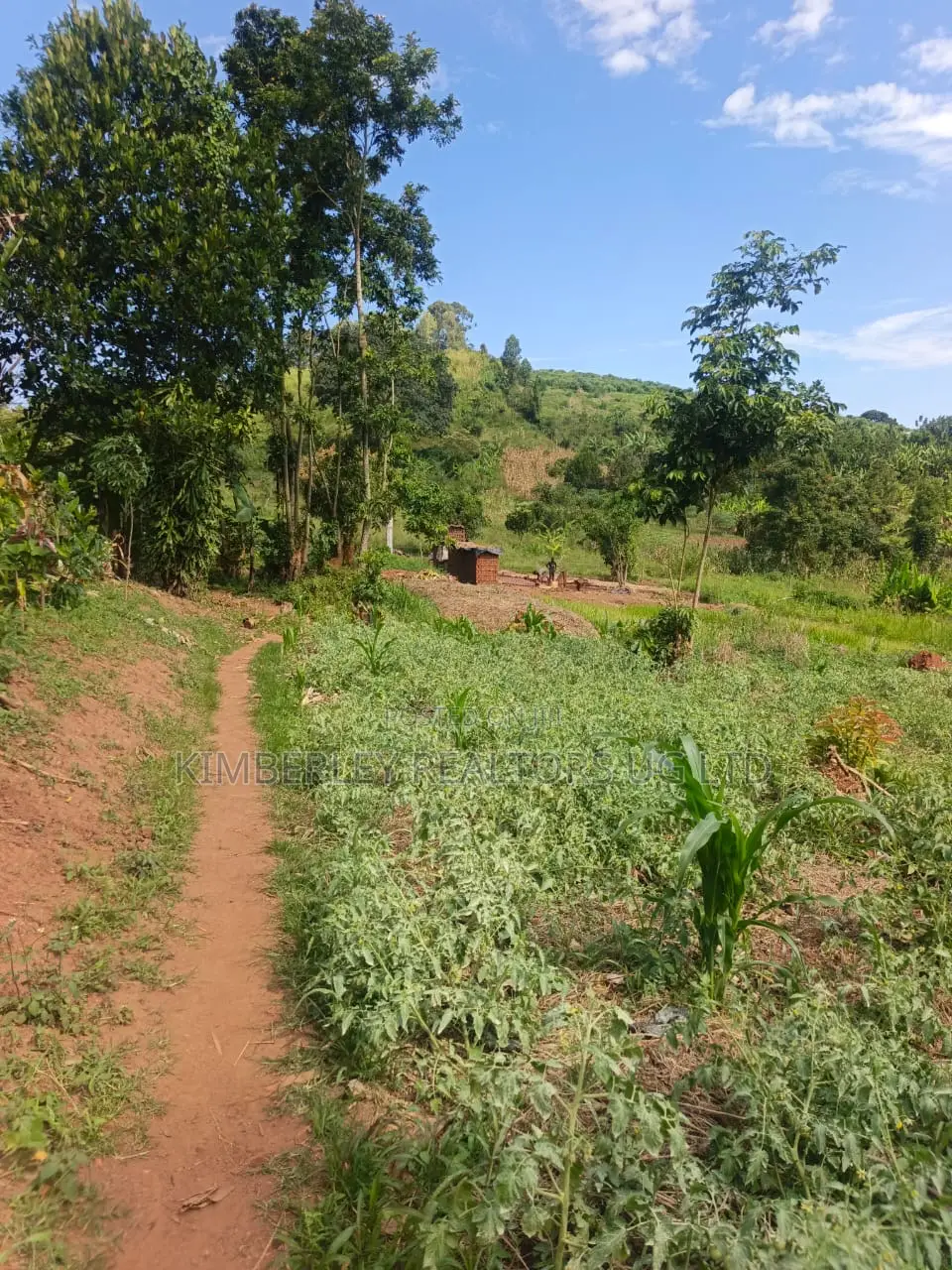 Estate Plot for Sale – Hoima Road