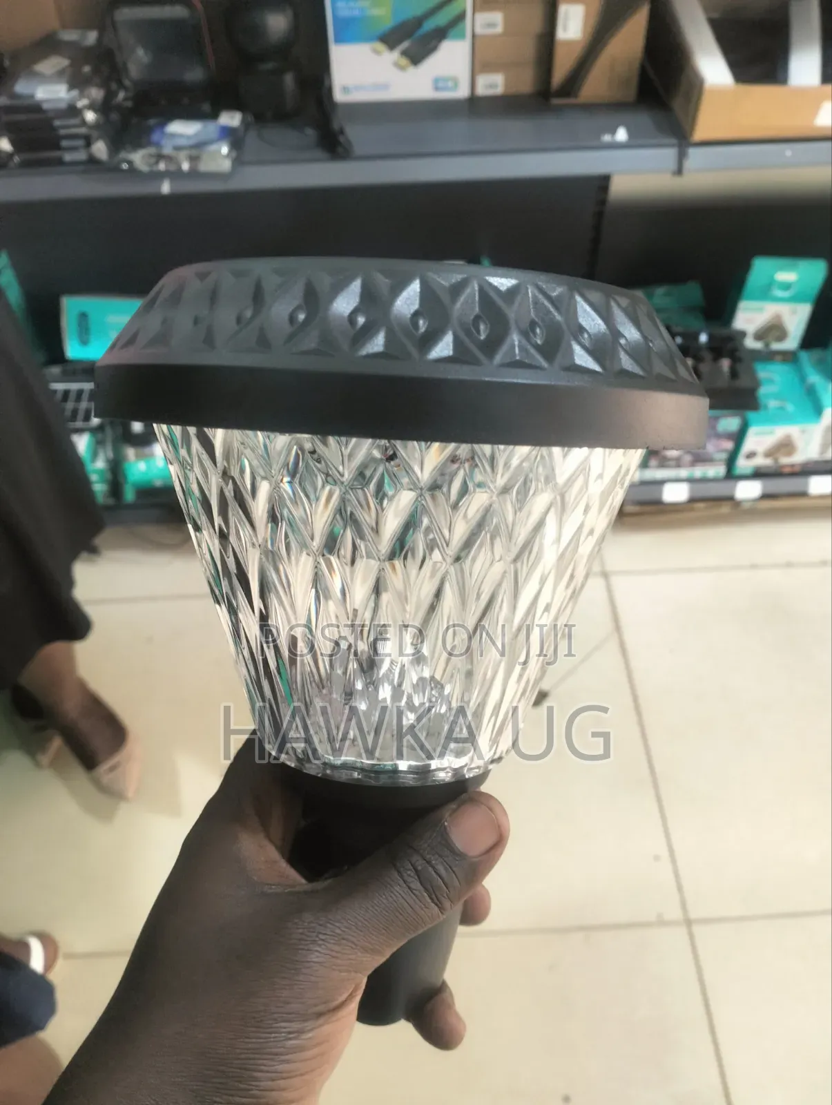 100w Garden Lights