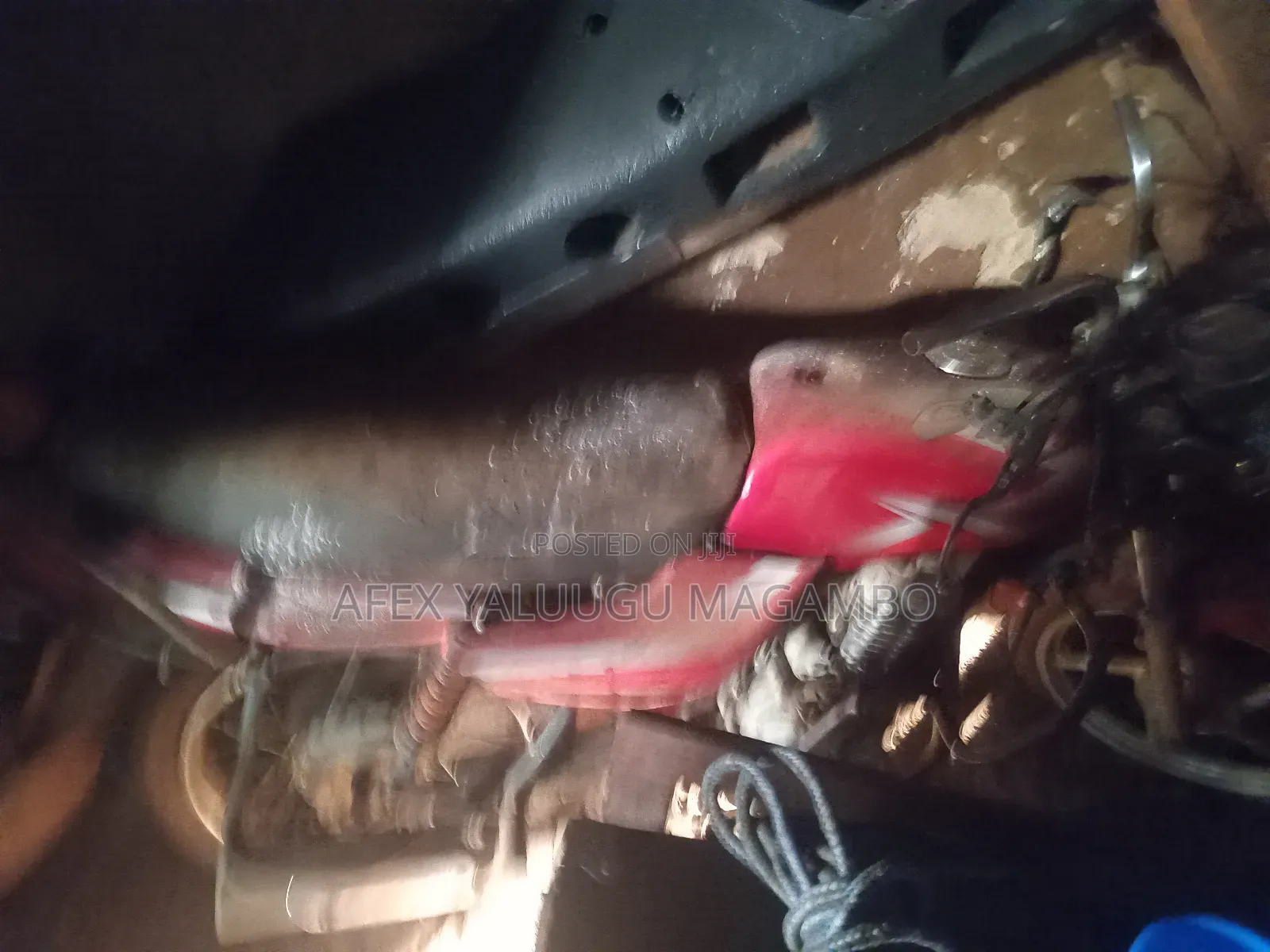 Bajaj CT 125X 2021 Red