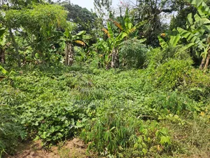 Half an Acre in Bubebere