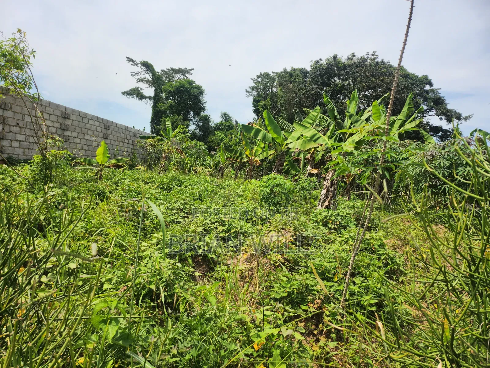Half an Acre in Bubebere