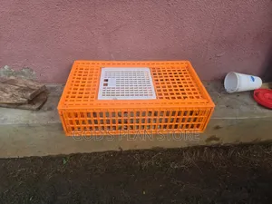 Chicken Career Crates Plastic Chicken Career Crates