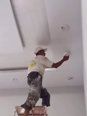 Wall Skimming and Painting