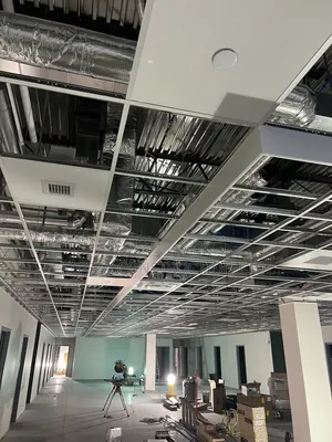 Pannaled Ceilings