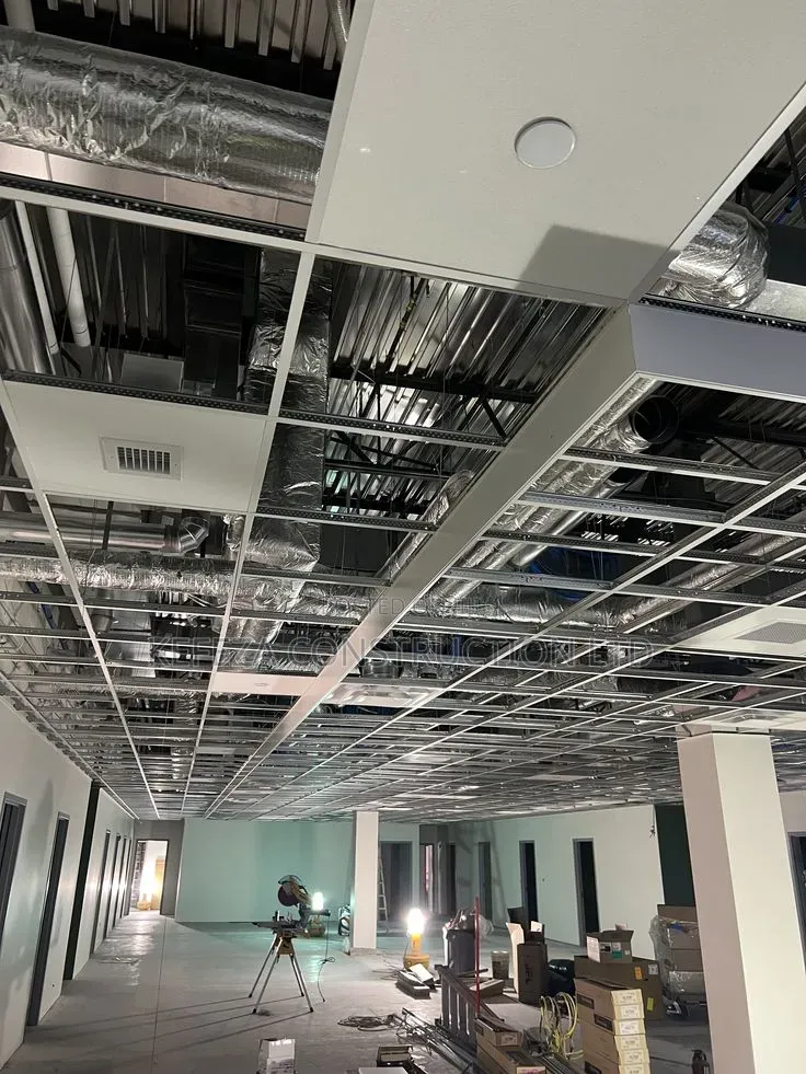 Pannaled Ceilings
