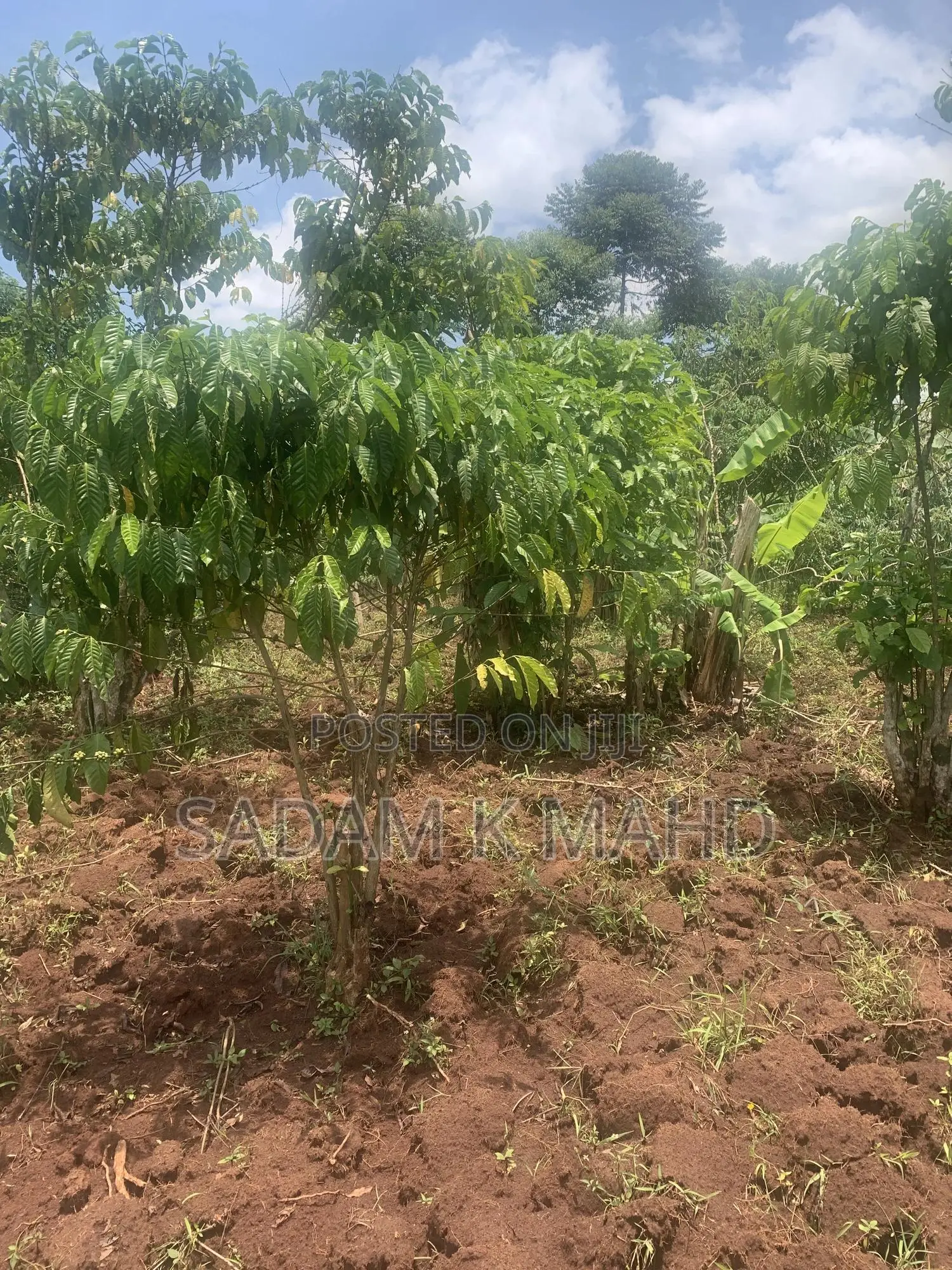 2 Acres of Land for Sale