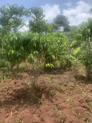 2 Acres of Land for Sale