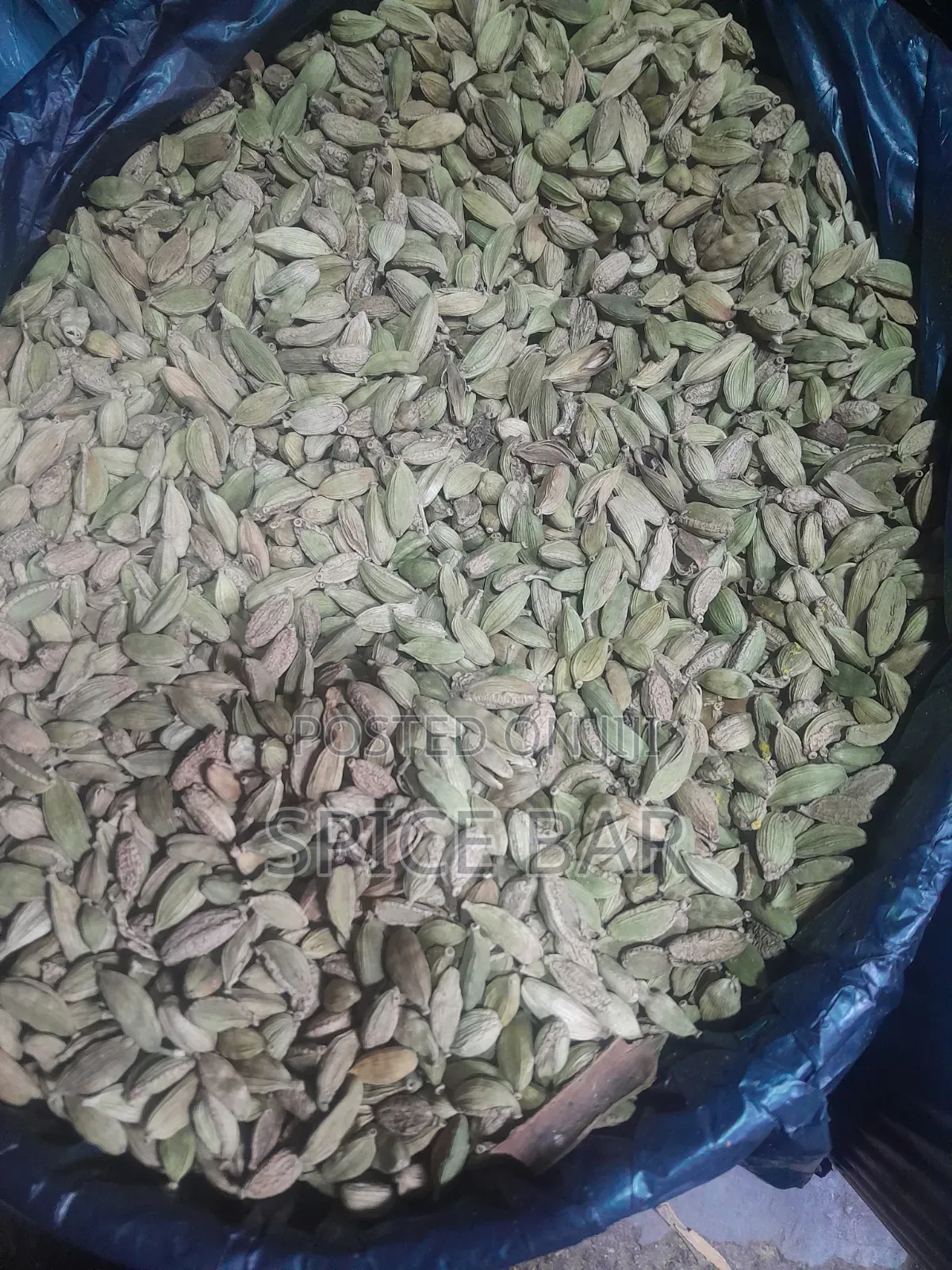 Spices and Herbs