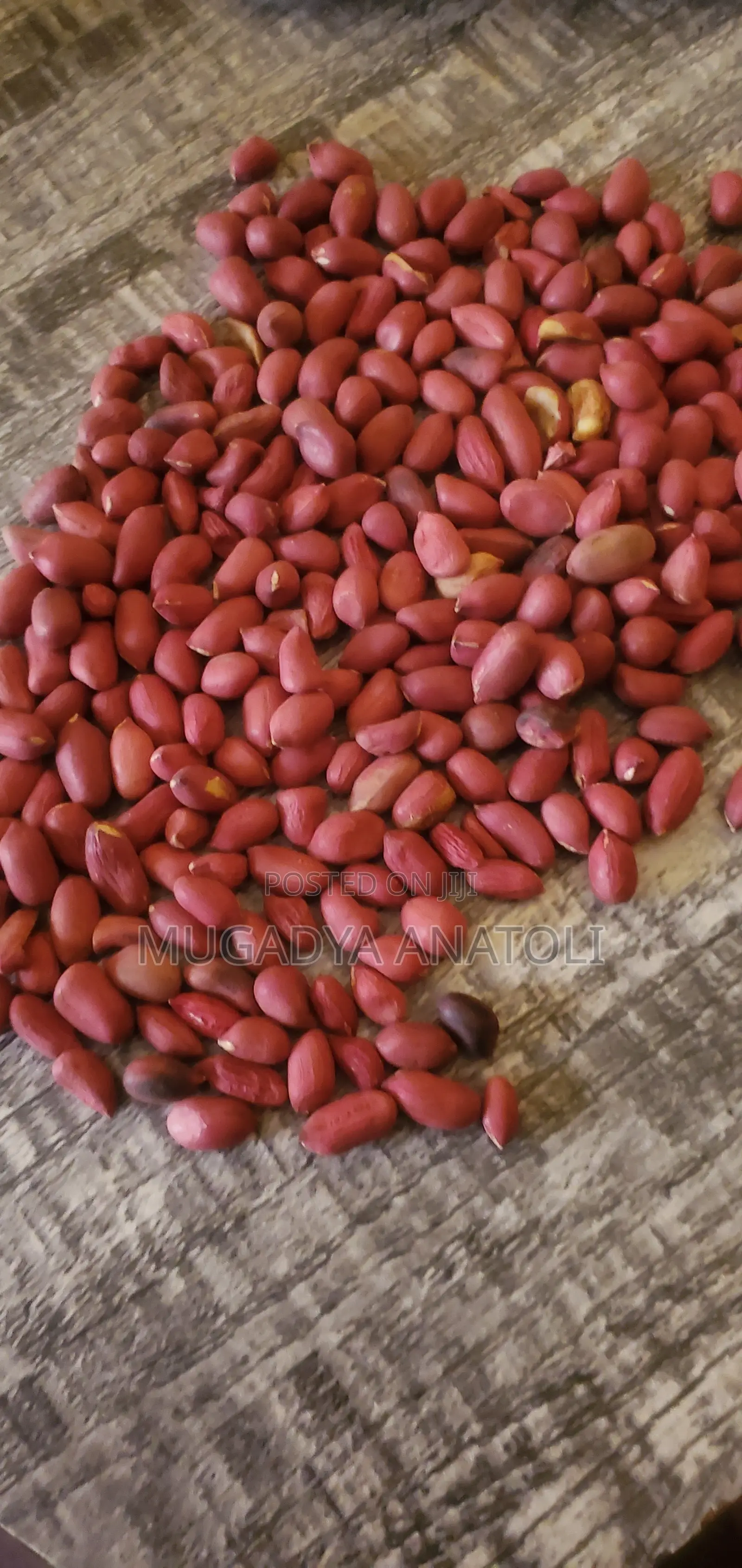 Raw Gnuts Grains