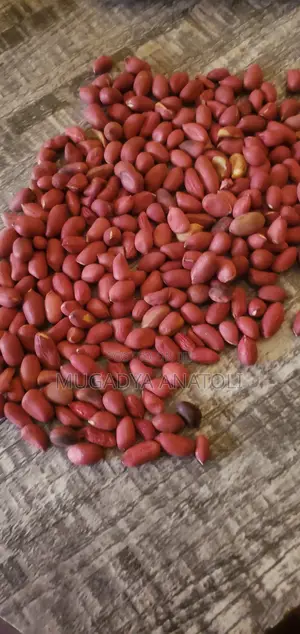 Raw Gnuts Grains