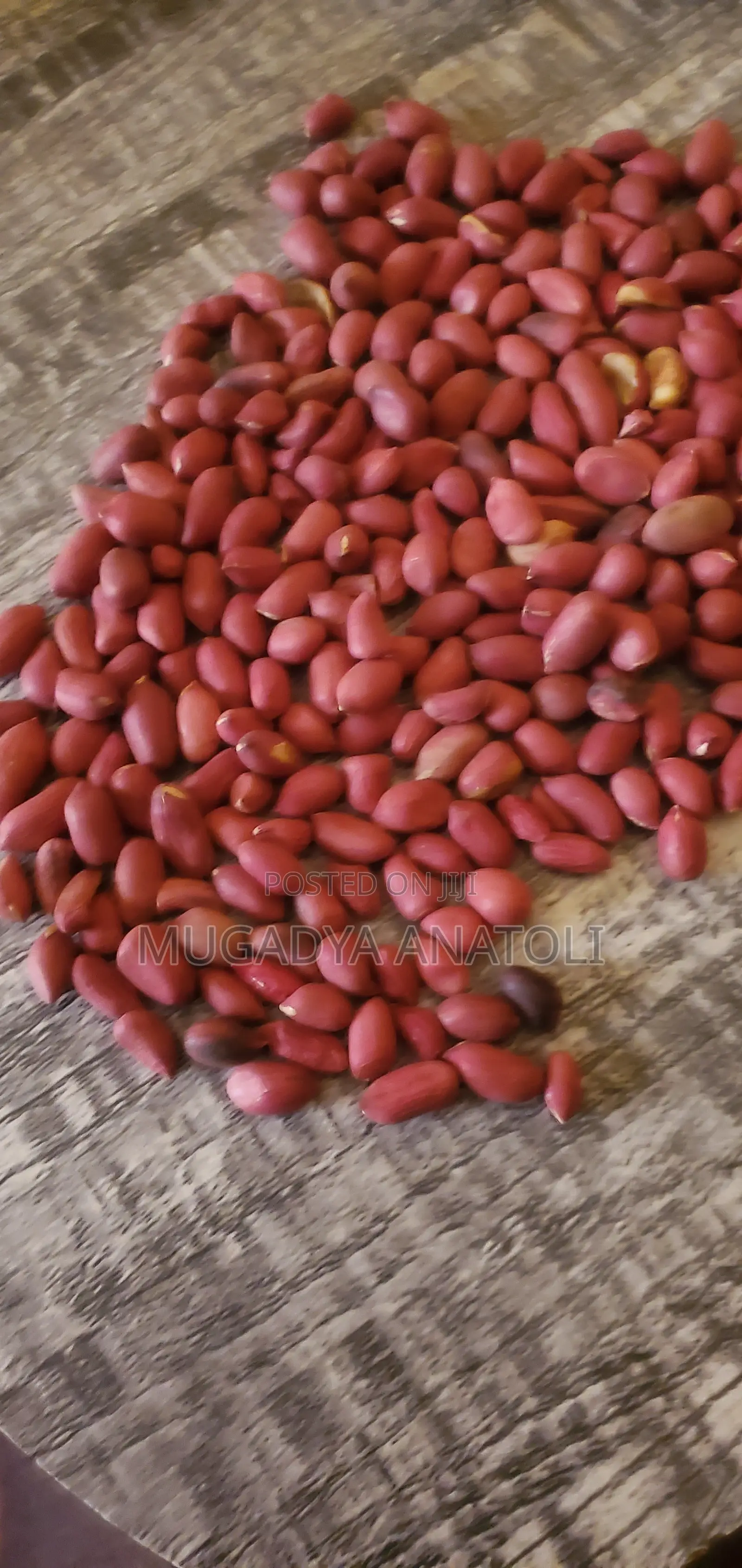 Raw Gnuts Grains
