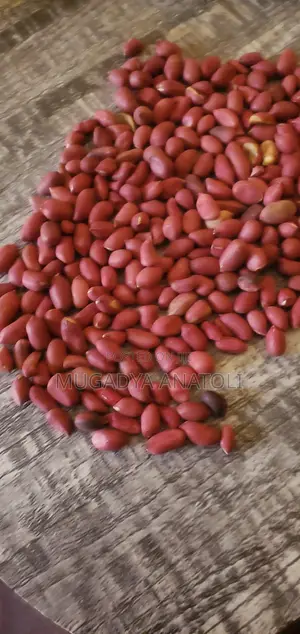 Raw Gnuts Grains