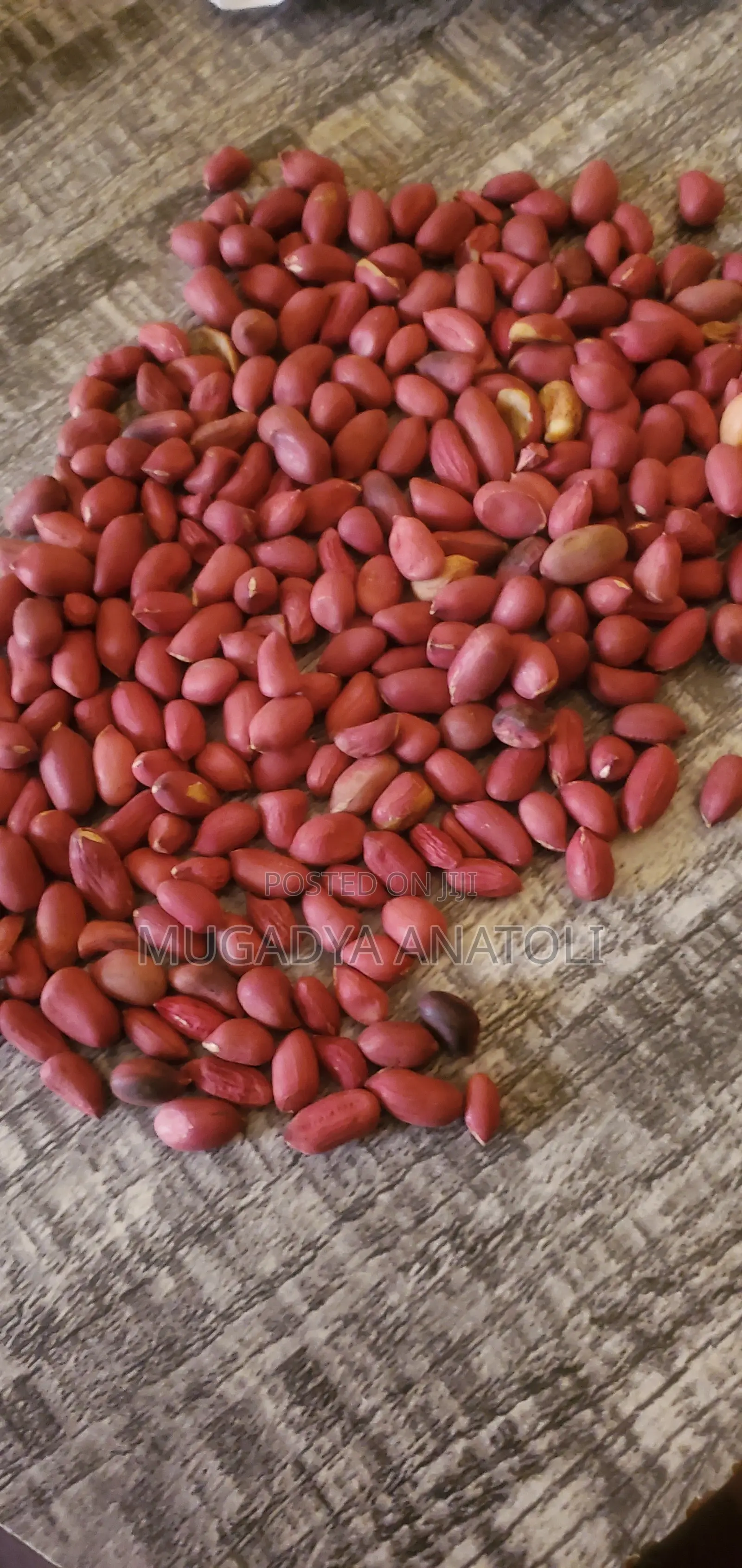 Raw Gnuts Grains