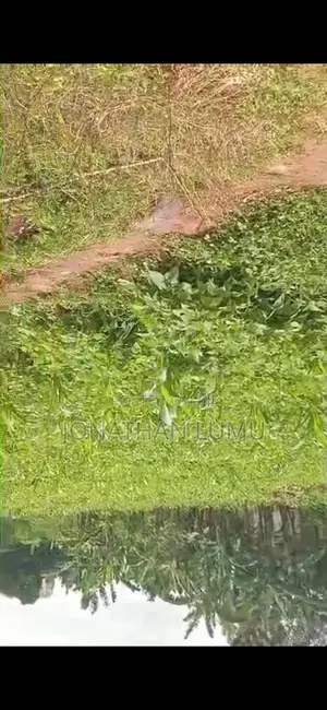 Land At Matugga Kavule. 3km From The Main Road