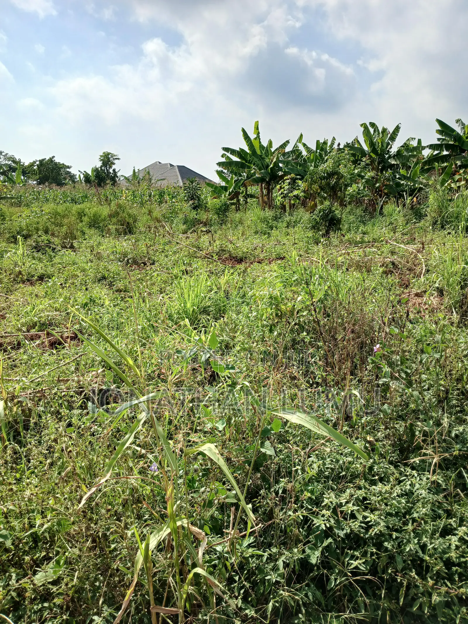 Land At Matugga Kavule. 3km From The Main Road