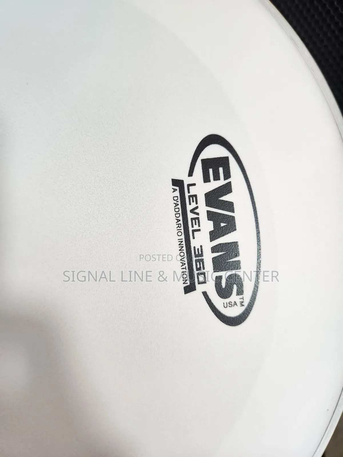 Snare Drum Skin Size 14