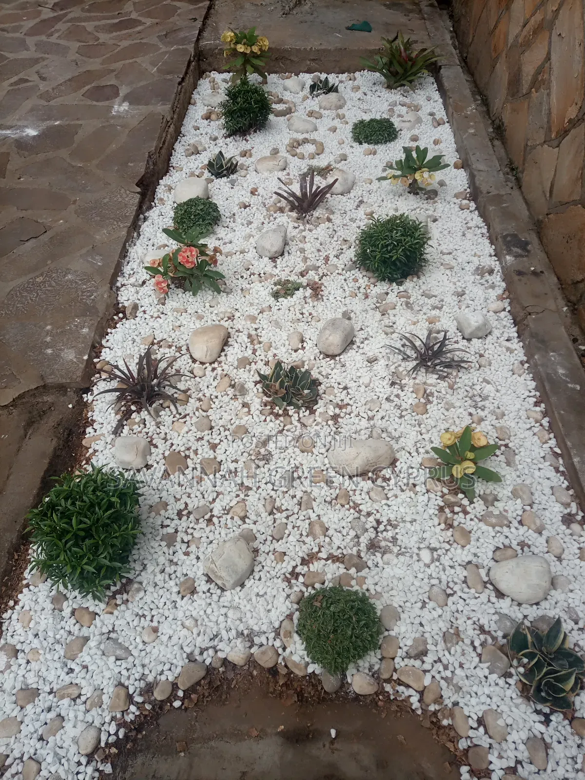 Outdoor Rock Garden Setting