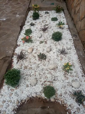 Outdoor Rock Garden Setting