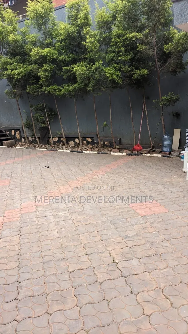 2bdrm Apartment in Buziga, Makindye for rent