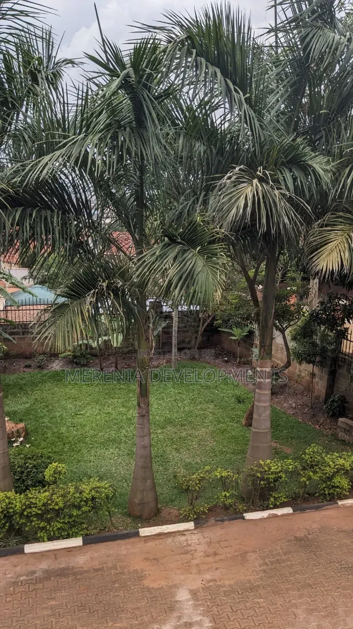 4bdrm House in Buziga, Makindye for rent