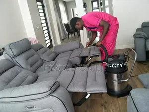 Sofa Set Cleaning Services