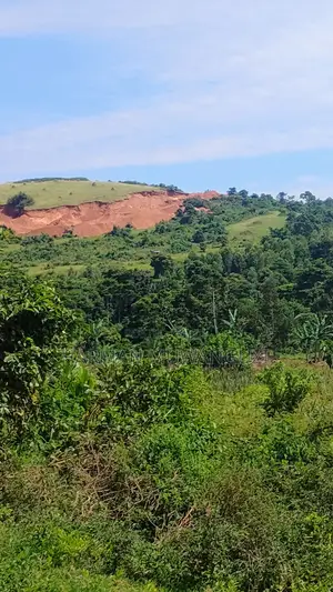 Lake View Land for Sale Along Katosi Road