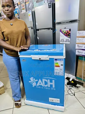 Adh 150l Deep Freezer at a Good Price