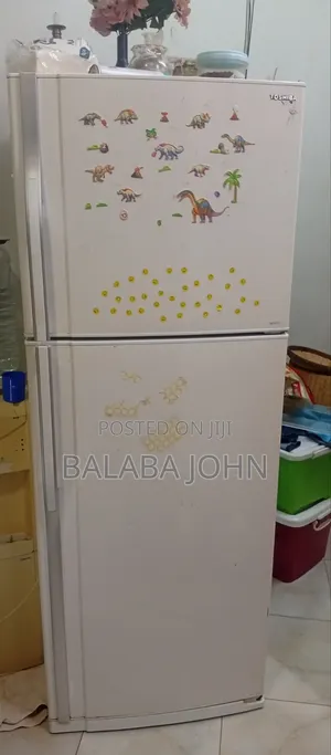 Toshiba Double Double Fridge