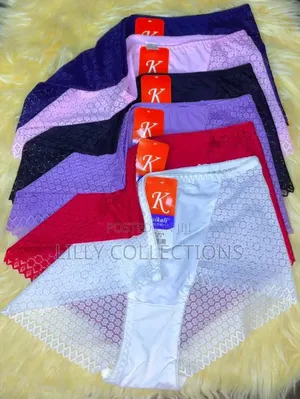 Elegant Lace Knickers