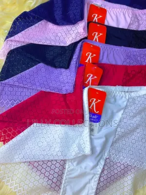 Elegant Lace Knickers