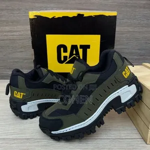 Low Top Cat Shoe