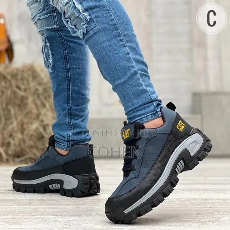 Low Top Cat Shoe