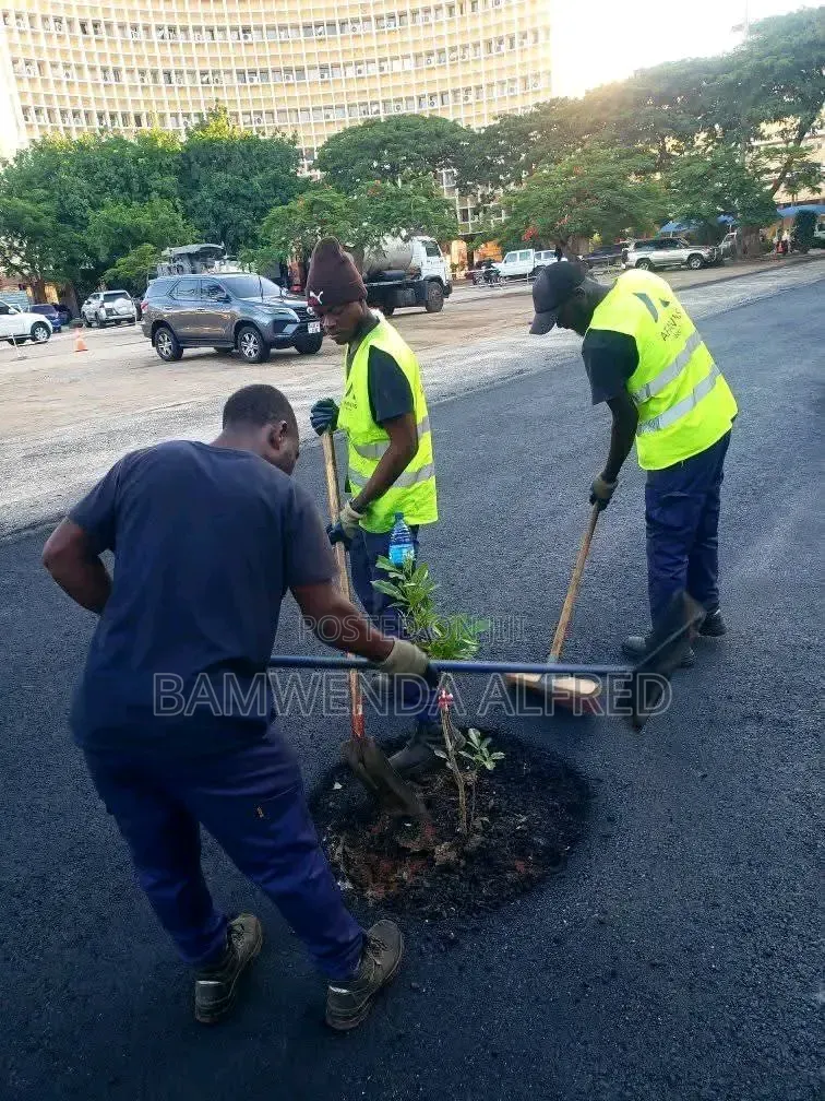 We Do Quality Paving, Asphalt and Basketball Courts