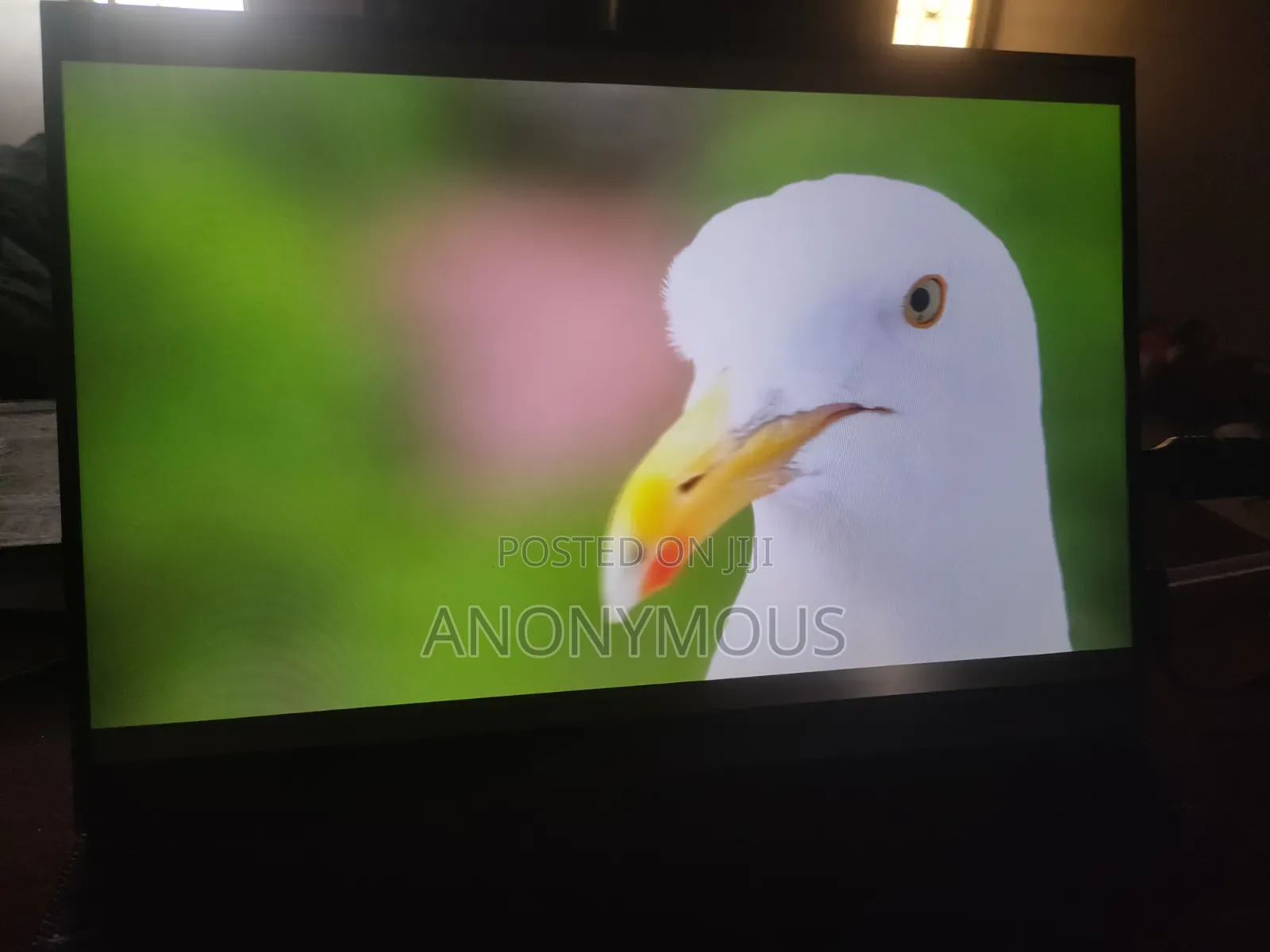 Portable 14 Inch Monitor Display With Speakers and Touch Screen