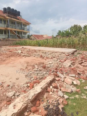 Real Estate