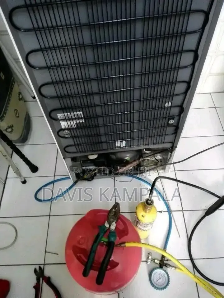 Reliable Fridge Technician