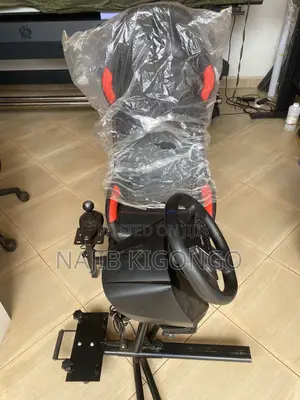 Playstation Racing Wheel Setup