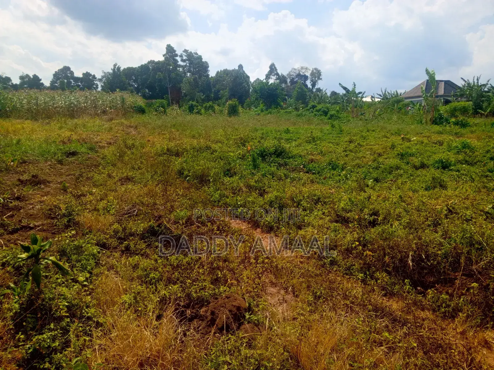 Plots for Sale in Nampunge Wakiso