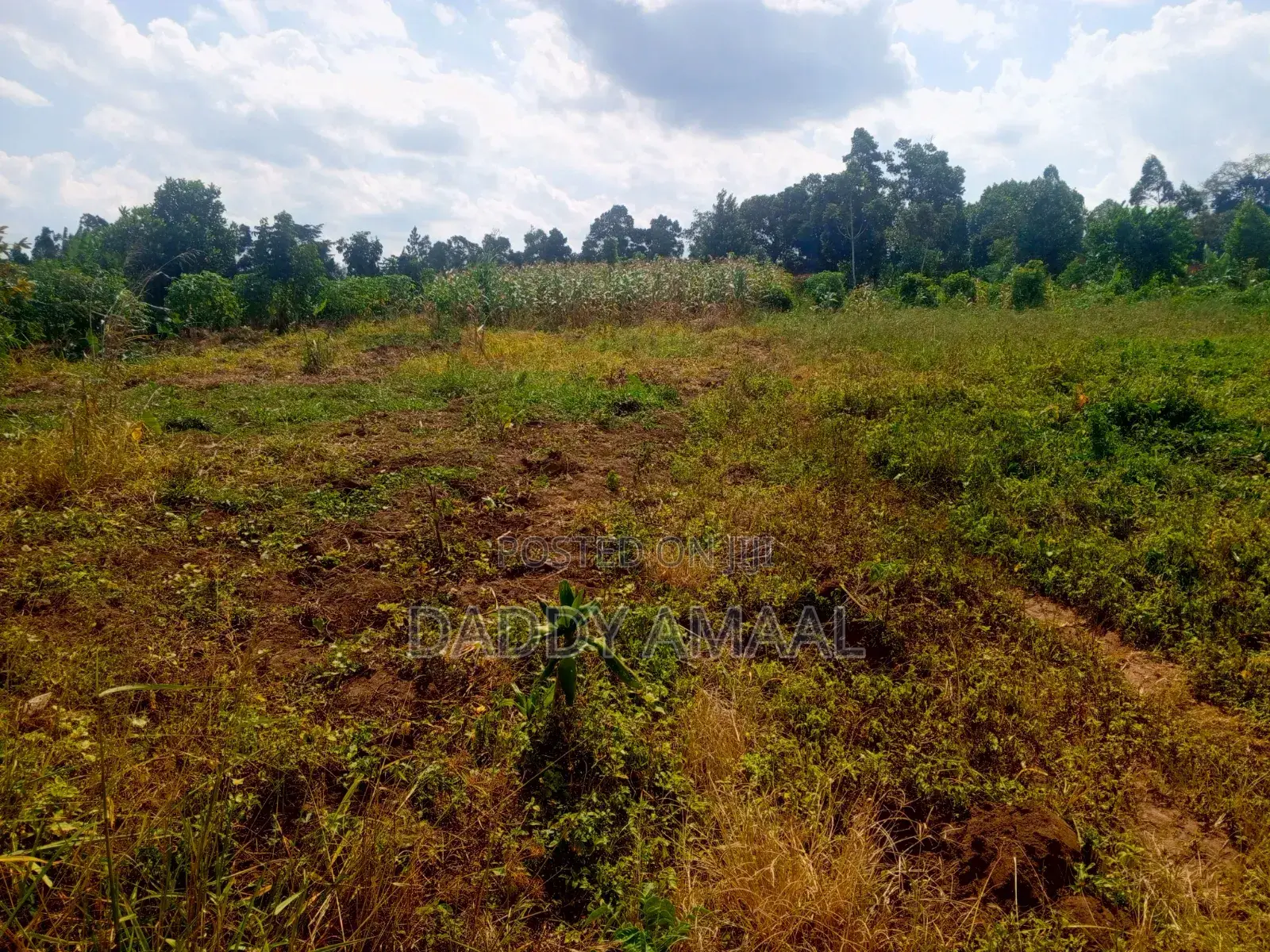 Plots for Sale in Nampunge Wakiso