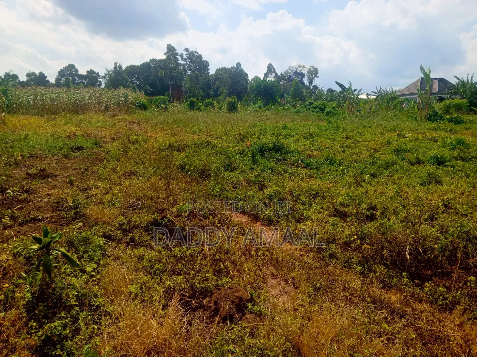 Plots for Sale in Nampunge Wakiso