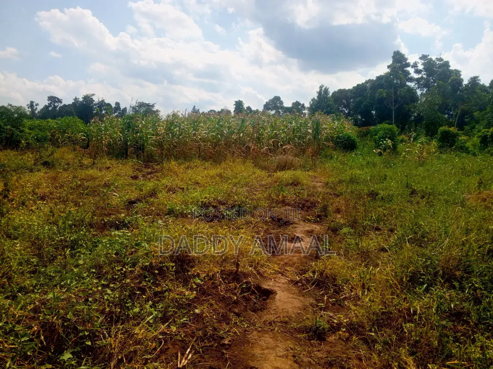 Plots for Sale in Nampunge Wakiso