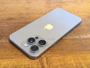 Apple iPhone 15 Pro Max 256 GB Gray
